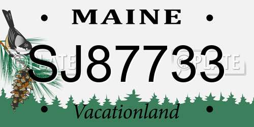 SJ87733 Maine License Plate