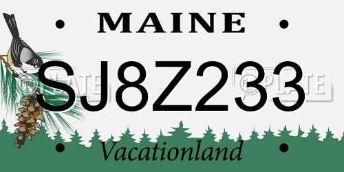 SJ8Z233 Maine License Plate