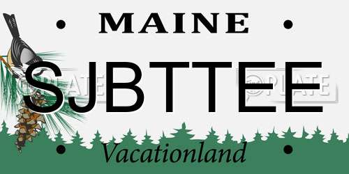 SJBTTEE Maine License Plate