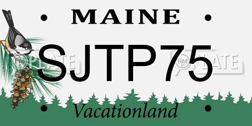 SJTP75 Maine License Plate