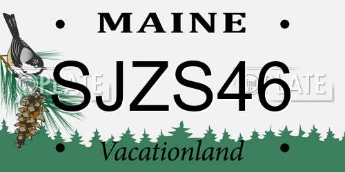 SJZS46 Maine License Plate