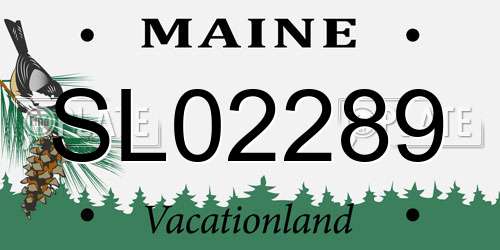 SL02289 Maine License Plate