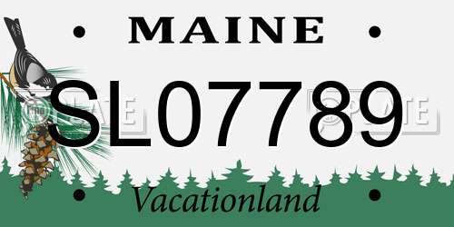 SL07789 Maine License Plate