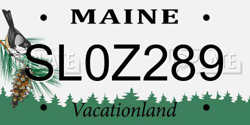 SL0Z289 Maine License Plate