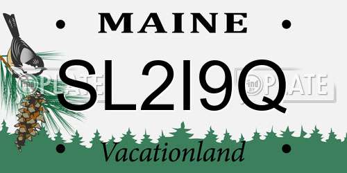 SL2I9Q Maine License Plate