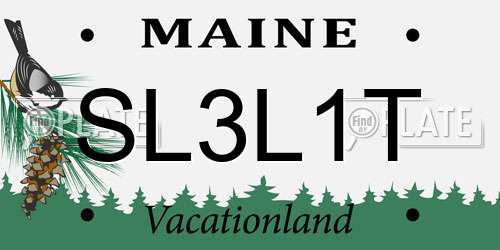 SL3L1T Maine License Plate