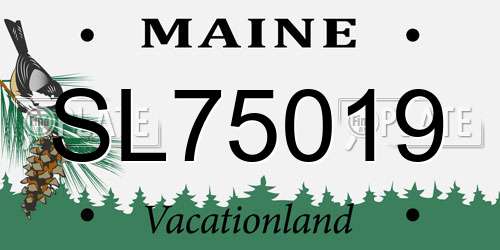 SL75019 Maine License Plate
