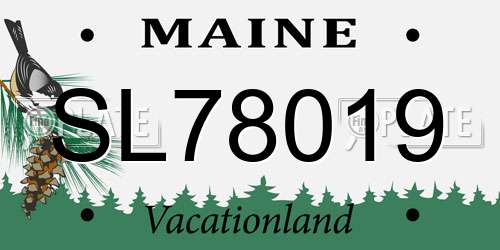 SL78019 Maine License Plate