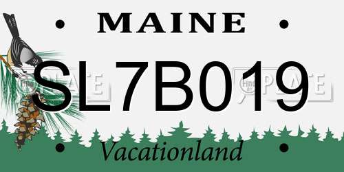 SL7B019 Maine License Plate
