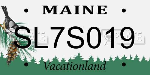 SL7S019 Maine License Plate