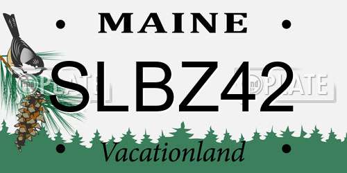 SLBZ42 Maine License Plate