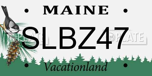 SLBZ47 Maine License Plate
