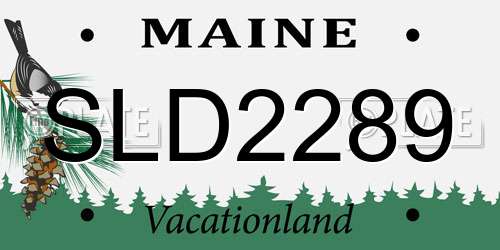 SLD2289 Maine License Plate