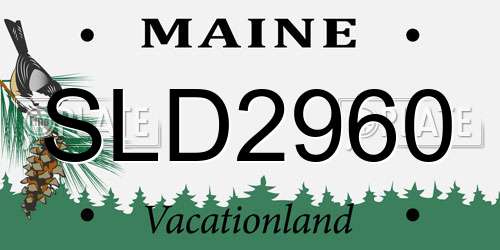 SLD2960 Maine License Plate