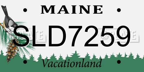 SLD7259 Maine License Plate