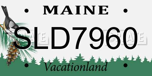 SLD7960 Maine License Plate