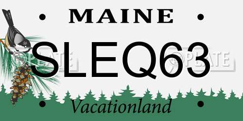 SLEQ63 Maine License Plate