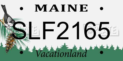 SLF2165 Maine License Plate