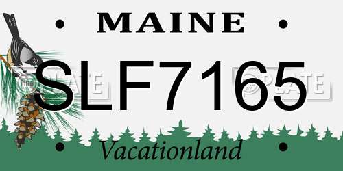 SLF7165 Maine License Plate
