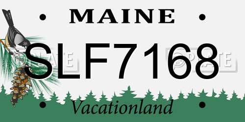SLF7168 Maine License Plate