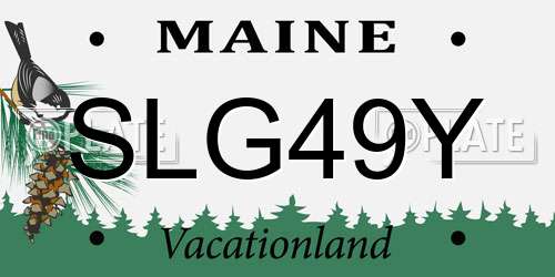 SLG49Y Maine License Plate