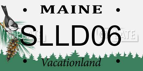 SLLD06 Maine License Plate