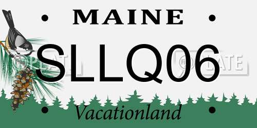 SLLQ06 Maine License Plate