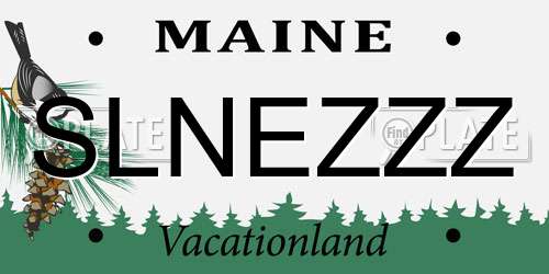 SLNEZZZ Maine License Plate