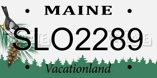 SLO2289 Maine License Plate