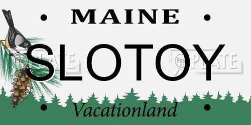 SLOTOY Maine License Plate