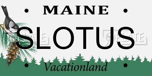 SLOTUS Maine License Plate
