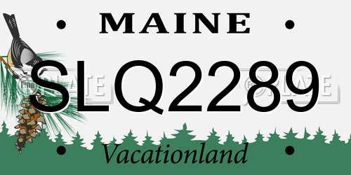 SLQ2289 Maine License Plate
