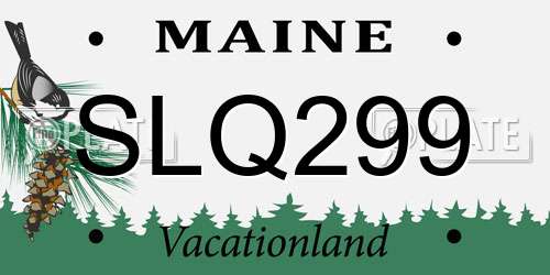 SLQ299 Maine License Plate