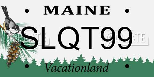SLQT99 Maine License Plate