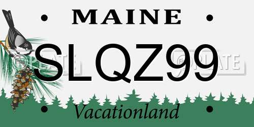SLQZ99 Maine License Plate