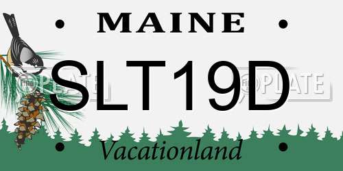 SLT19D Maine License Plate