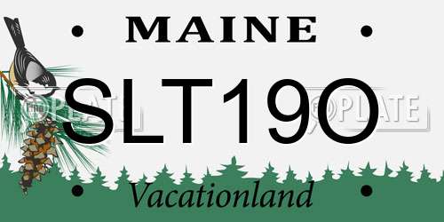 SLT19O Maine License Plate