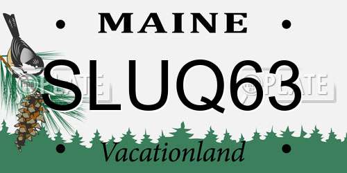 SLUQ63 Maine License Plate