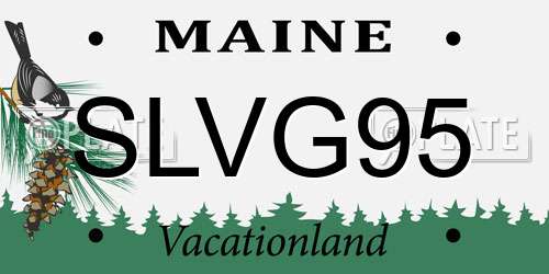 SLVG95 Maine License Plate