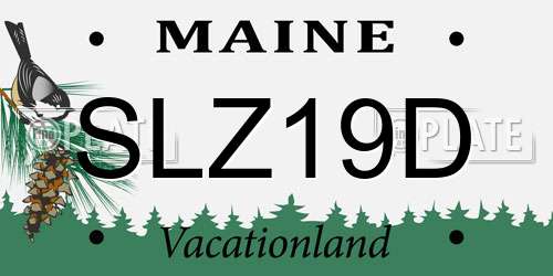 SLZ19D Maine License Plate