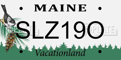 SLZ19O Maine License Plate