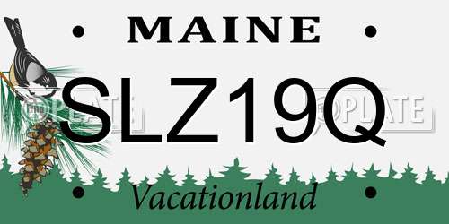 SLZ19Q Maine License Plate