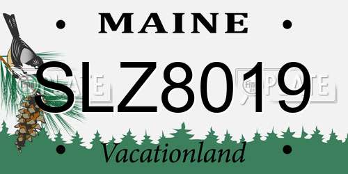 SLZ8019 Maine License Plate