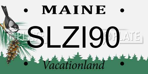 SLZI90 Maine License Plate