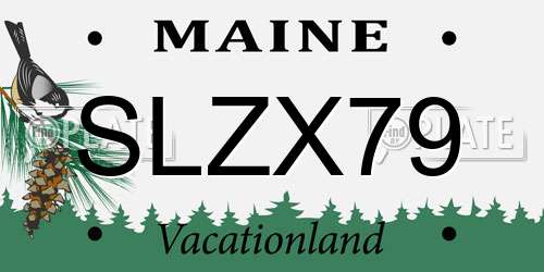 SLZX79 Maine License Plate