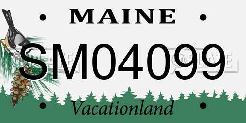 SM04099 Maine License Plate
