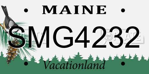 SMG4232 Maine License Plate
