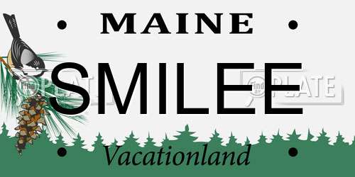 SMILEE Maine License Plate