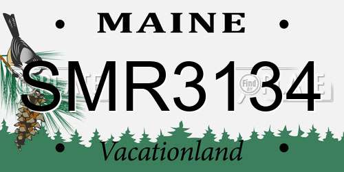SMR3134 Maine License Plate