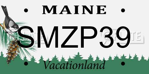 SMZP39 Maine License Plate